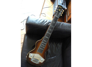 Gibson EH-125 (98034)