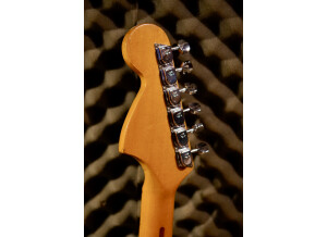 Fender Stratocaster [1965-1984] (78163)