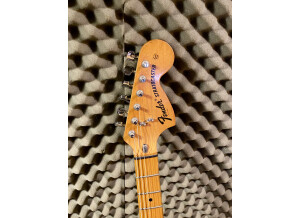 Fender Stratocaster [1965-1984] (27959)