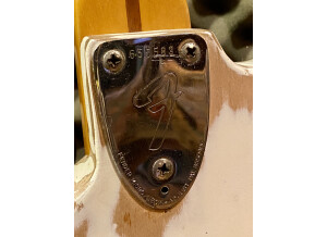 Fender Stratocaster [1965-1984] (92038)