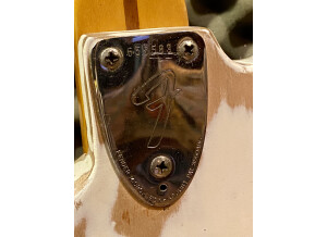 Fender Stratocaster [1965-1984] (85460)