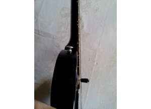 Gibson Les Paul Vixen (65651)
