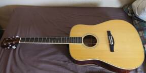 Je propose cette Eastman AC 320