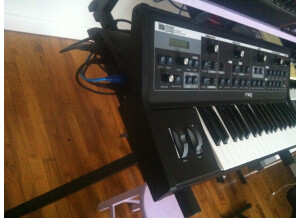 Studio Electronics SE-1X (59562)