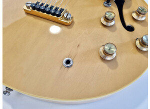Gibson ES-347 (6950)