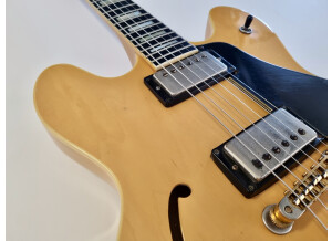 Gibson ES-347 (859)