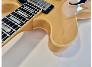 Gibson ES-347 (29916)