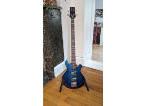 Gibson Les Paul Money Bass