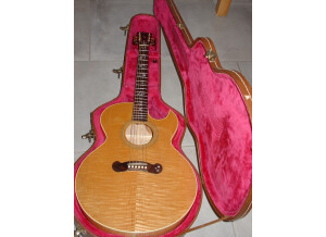 Gibson EC-20 Starburst (53774)