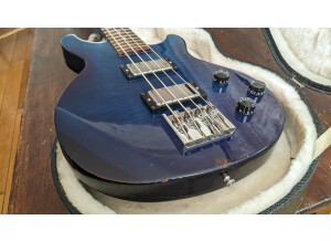 Gibson Les Paul Money Bass (36030)