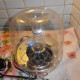 SoundSticks SoundSticks