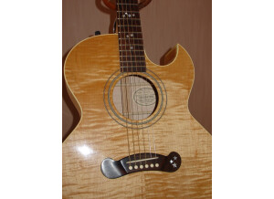 Gibson EC-20 Starburst (41317)