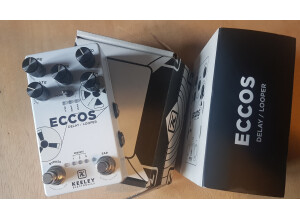 Keeley Electronics Eccos Delay Looper