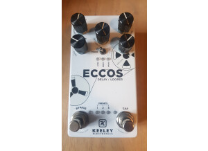 Keeley Electronics Eccos Delay Looper