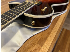 Gibson [Guitar of the Week #9] Les Paul Supreme Autumn Burst (86534)
