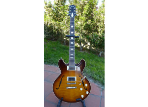 Gibson ES-335 PRO (43315)