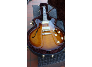 Gibson ES-335 PRO (2737)