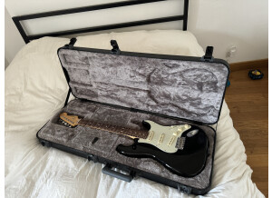 Fender American Professional Stratocaster (42108)
