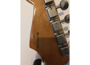 IMG 0491