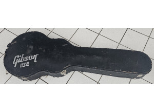 Gibson Les Paul Junior (19053)