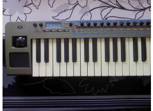 Novation XioSynth 49 (93620)
