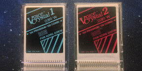 2 cartes Voice Crystal du Korg 03 R/W 