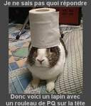 5995903.jpg 5995903.jpg