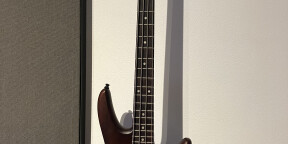 Vends mikro bass ibanez