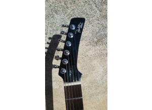Parker Guitars PM-20
