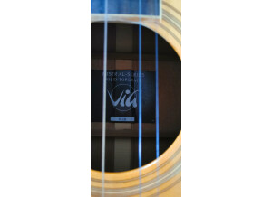 VIG Guitars Mistral V10E