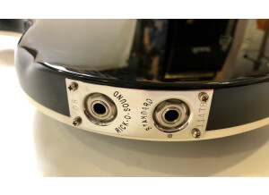 Rickenbacker 4003 (5765)