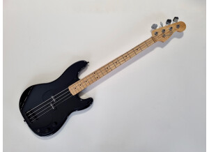 Fender Roger Waters Precision Bass (34170)