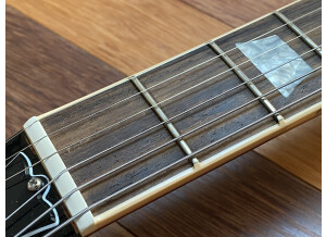Gibson Les Paul Standard (89373)