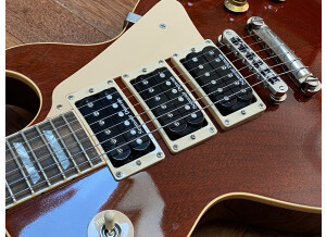 Gibson Les Paul Standard (49979)