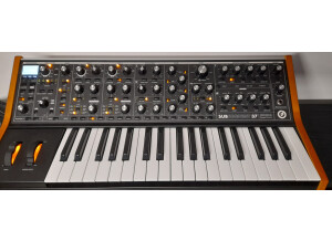 Moog Music Subsequent 37 (81852)