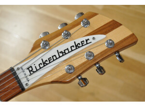 Rickenbacker 330 (41870)