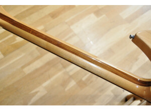 Rickenbacker 330 (45845)