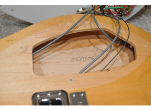 Rickenbacker 330 (38324)