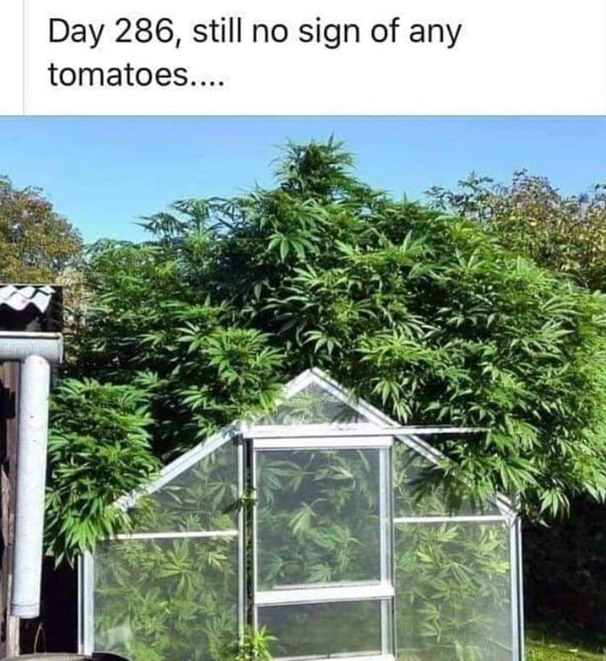 5997879.jpg 5997879.jpg