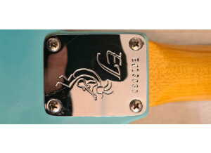 Fender Eric Johnson Stratocaster Rosewood (98521)