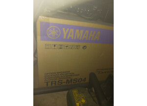 Yamaha Tyros 4