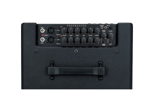 Ibanez Troubadour T80N (97860)