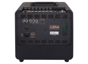 Ibanez Troubadour T80N (89335)