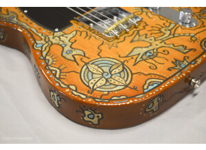 Fender American Performer Telecaster (81477)