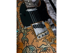Fender American Performer Telecaster (40741)