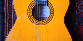 Vend guitare Hernandez de 1981