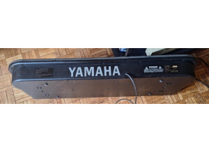 Yamaha YS200 (11279)