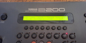 Yamaha B200 - soit un YS200 Amplifié