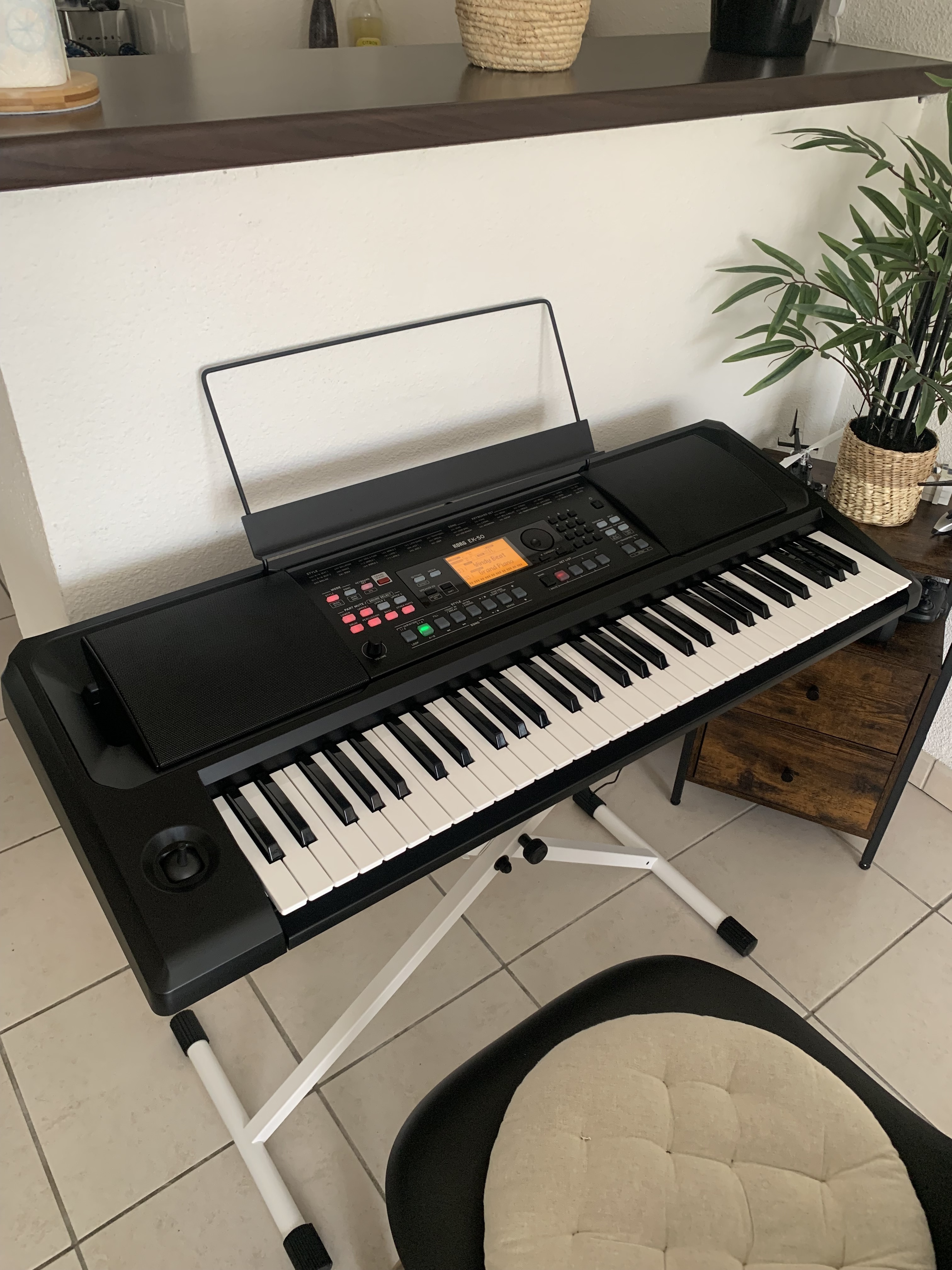 Korg EK-50