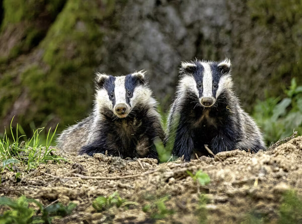 6001015.png 6001015.png